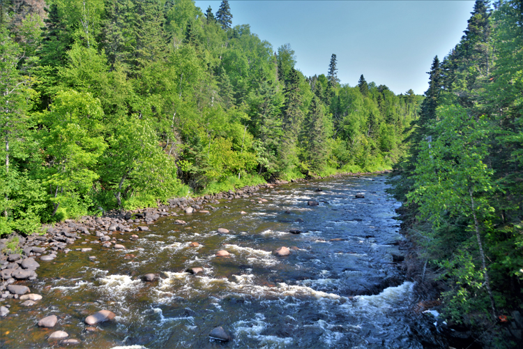 The Judge State Park